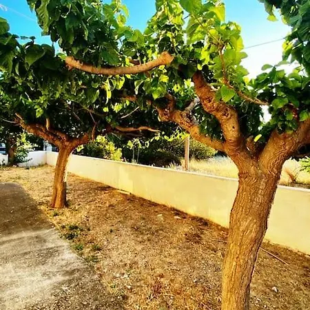 τέσσερις εποχές Apartment *