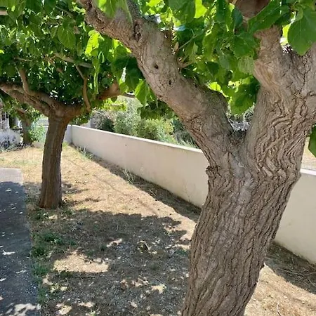 τέσσερις εποχές * Aetos (Evia)